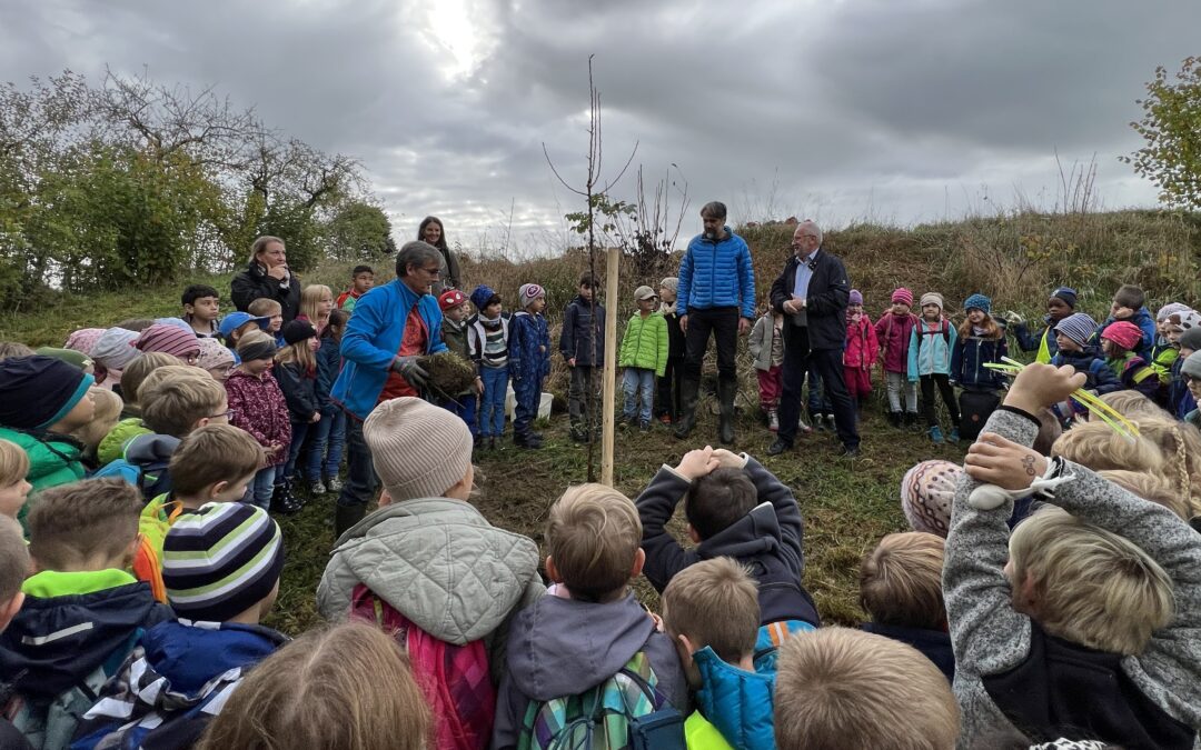 Ein Apfelbaum für die ErstklässlerInnen der Mühlbachschule